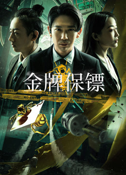 金牌保镖海报