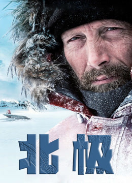 北极（普通话）海报