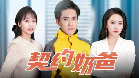 契约奶爸海报