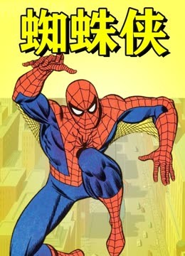 蜘蛛侠动画版海报