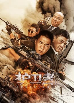 护卫者2海报