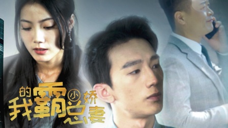 我的霸总小娇妻海报