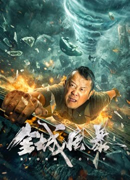 全城风暴海报