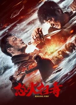 怒火扫毒海报