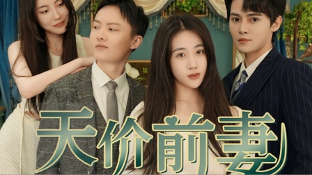 天价前妻海报