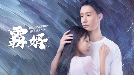 霸婿海报