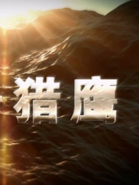 代号猎鹰海报