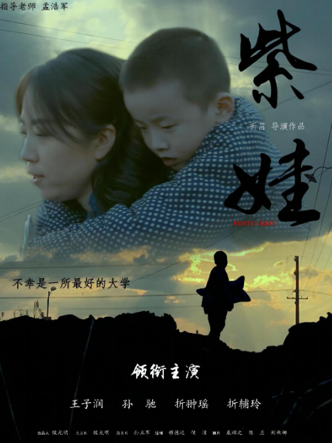紫娃海报