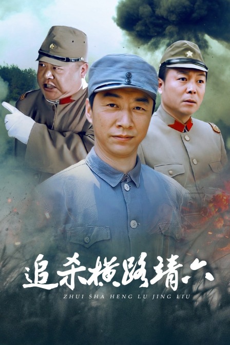 追杀横路靖六海报