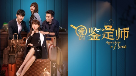 爱的鉴定师海报