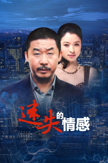 迷失的情感海报