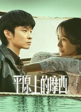 平原上的摩西海报