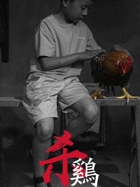 杀鸡海报
