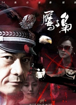 鹰与枭海报