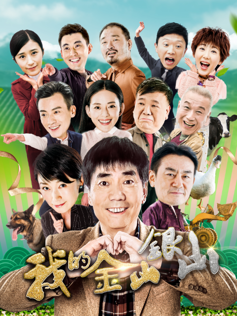 我的金山银山海报