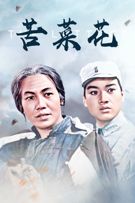 苦菜花海报