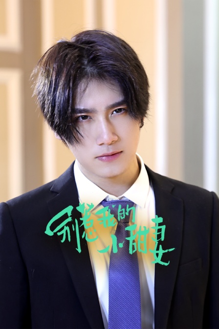 别惹我的小甜妻海报