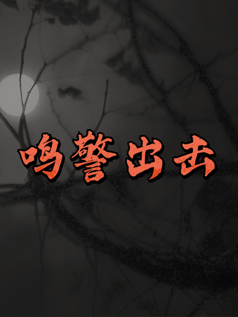 鸣警出击海报