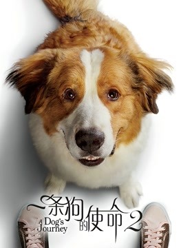 一条狗的使命2海报