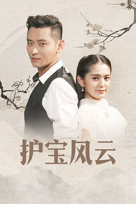 护宝风云海报