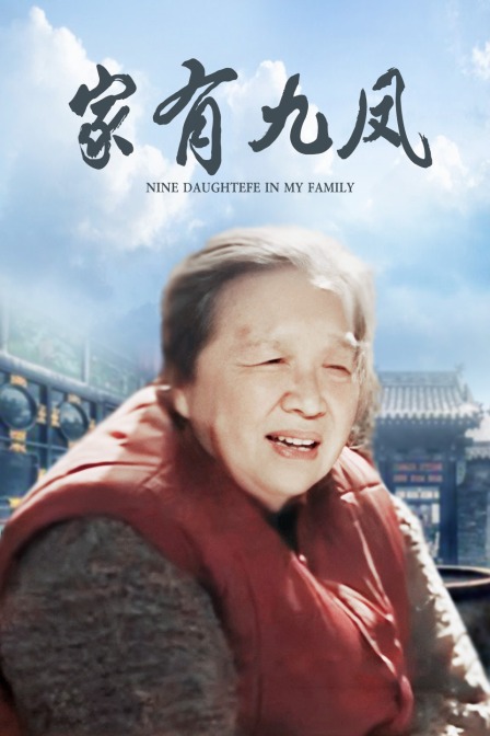 家有九凤海报