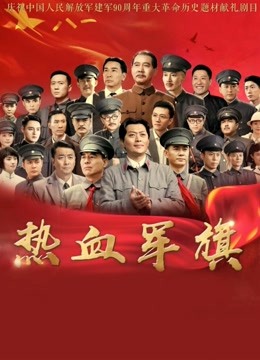 热血军旗海报