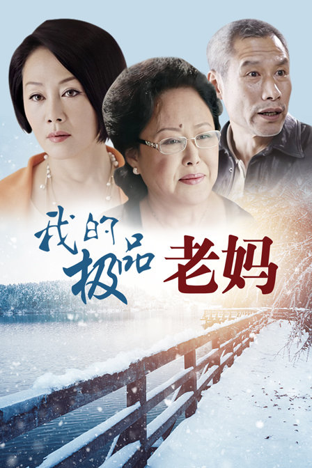我的极品老妈海报
