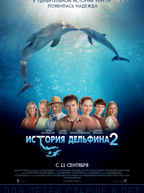 海豚的故事2海报