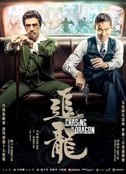 追龙海报