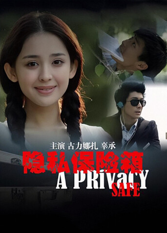 隐私保险箱海报