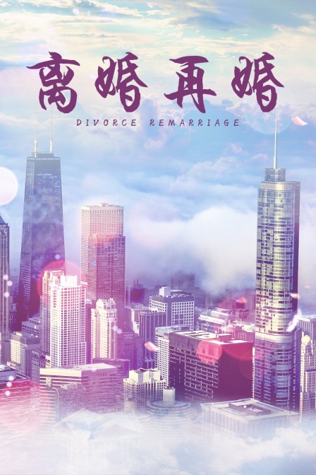 离婚再婚海报
