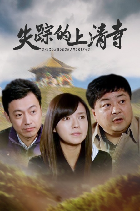 失踪的上清寺海报