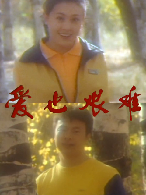 爱也艰难海报
