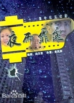 夜雨霏霏海报