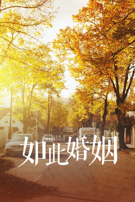 如此婚姻海报