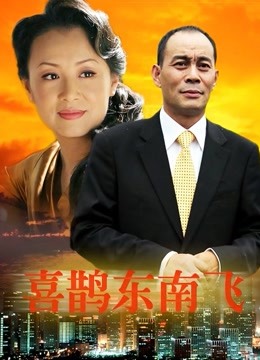 喜鹊东南飞海报