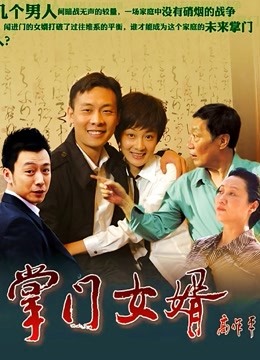掌门女婿海报
