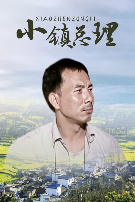 小镇总理海报