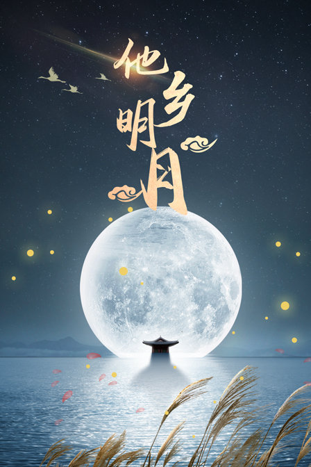 他乡明月海报