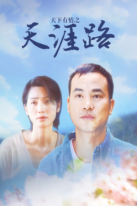 天下有情之天涯路海报