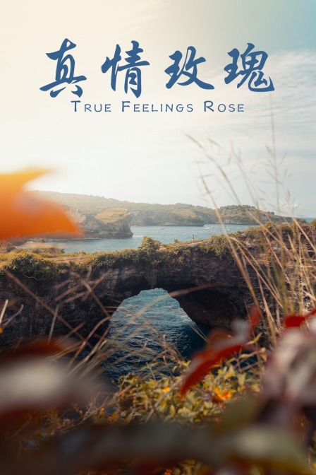 真情玫瑰海报