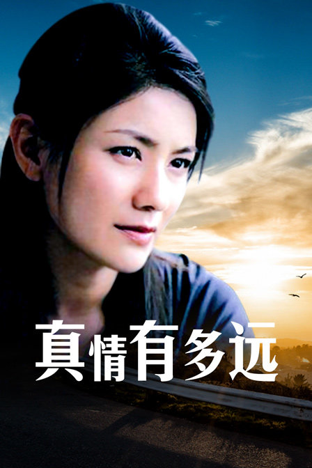 真情有多远海报
