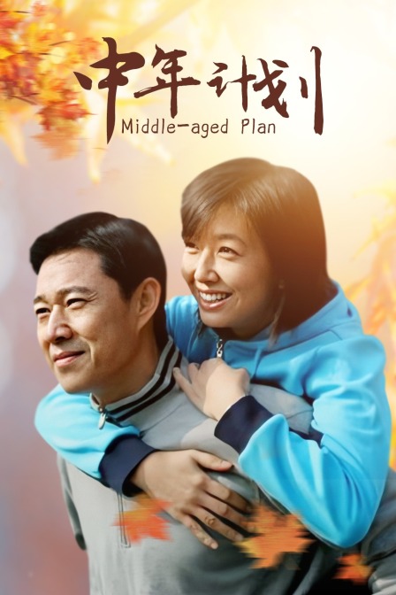 中年计划海报