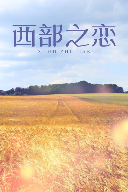 西部之恋海报