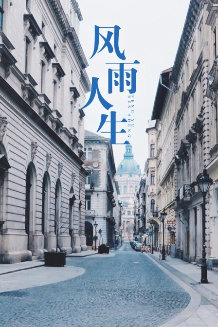 风雨人生海报