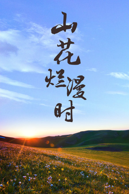山花烂漫时海报