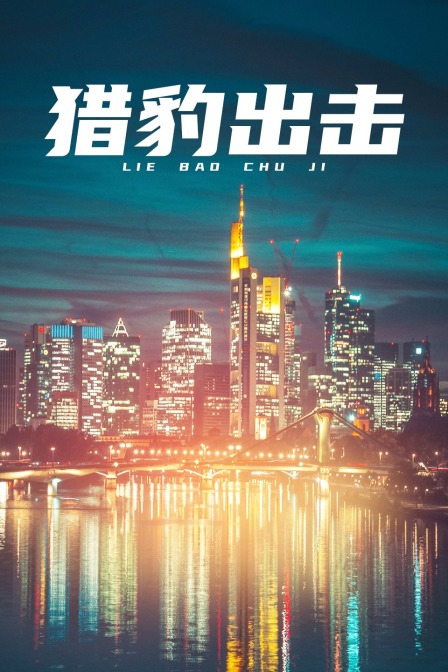 猎豹出击海报