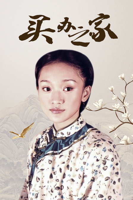 买办之家海报