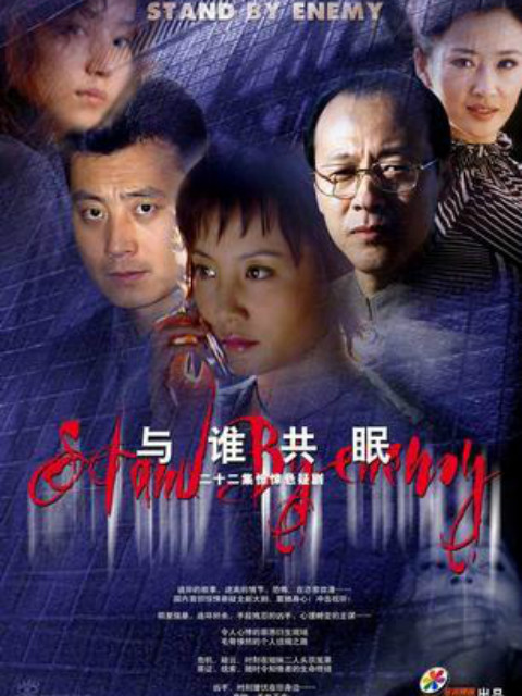 与谁共眠海报