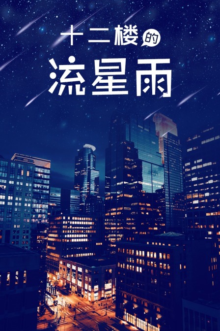十二楼的流星雨海报
